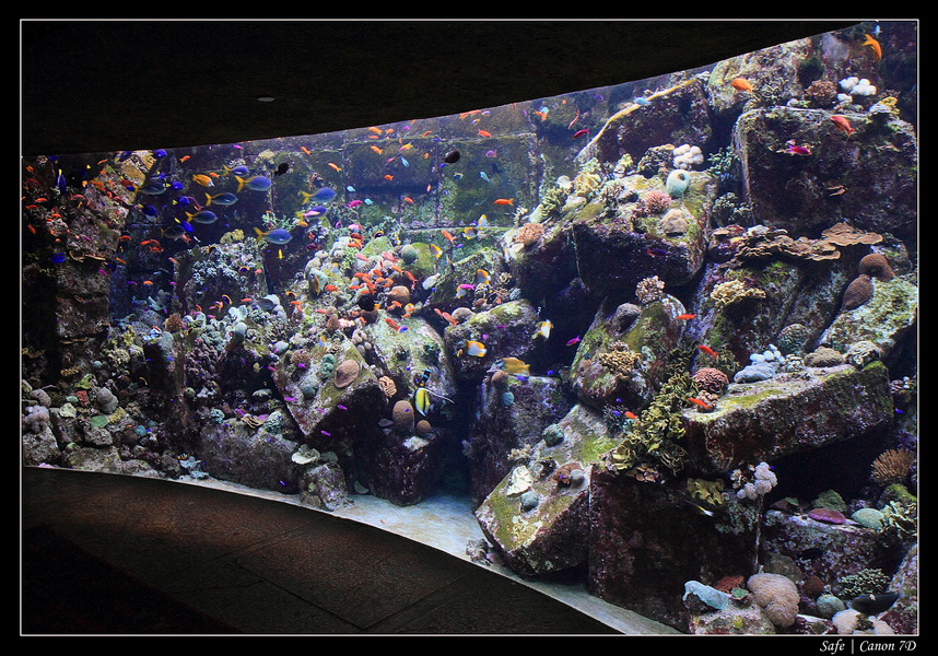 2012 - 06 - Dubai - 004